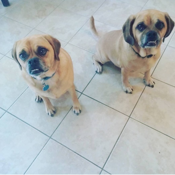 Meet your Posher, Autumn - Picture 3 of 5